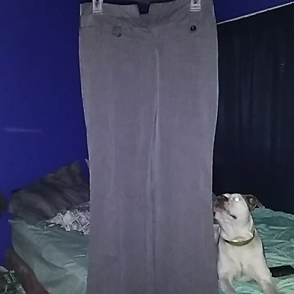 Dress pants
